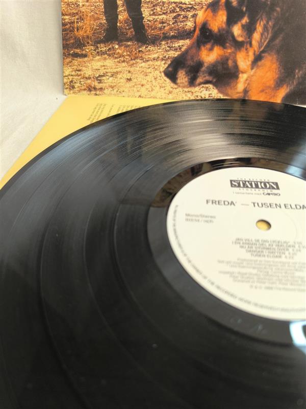 Freda' - Thousand Fires