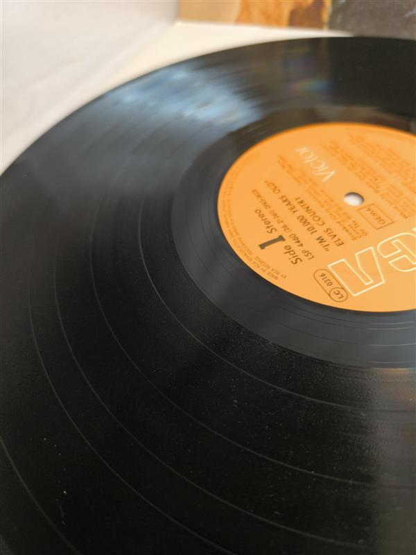Elvis Presley – Elvis Country (I’m 10,000 Years Old)