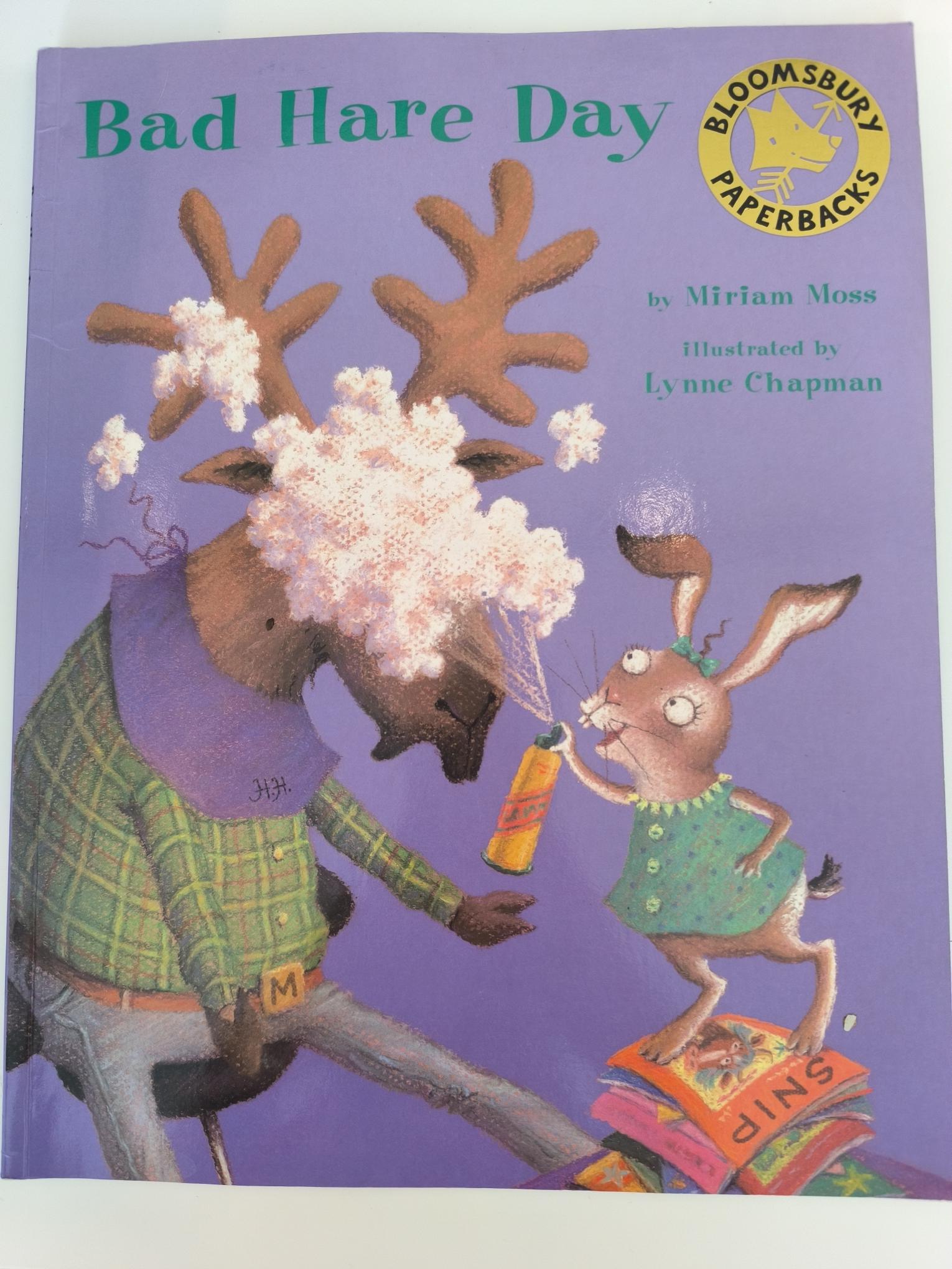 Bad Hare Day, children's book in English