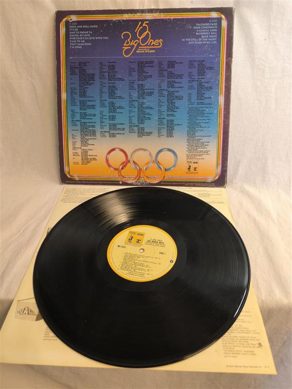 The Beach Boys – 15 Big Ones