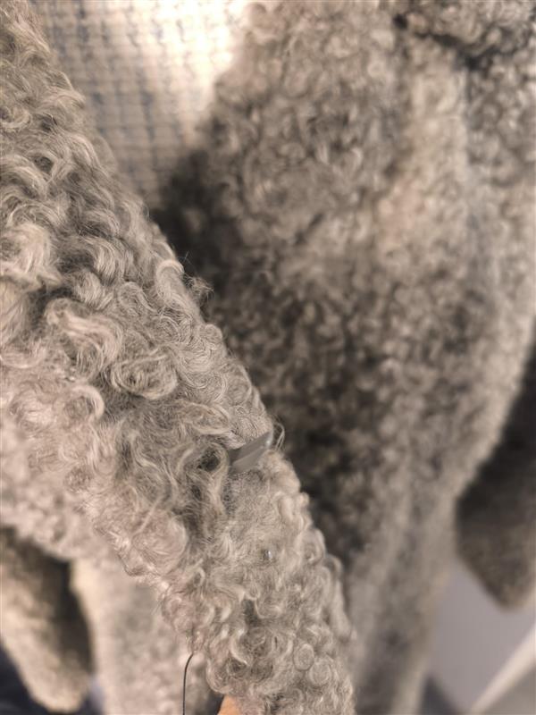 A coat in genuine Gotland sheepskin