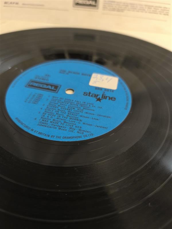 The Beach Boys – Bug-In (Vinyl)