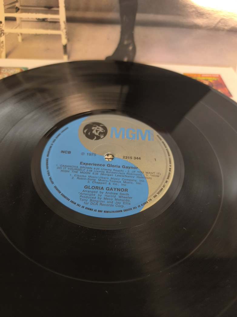 Gloria Gaynor – Experience (MGM Records, 2315 344), LP