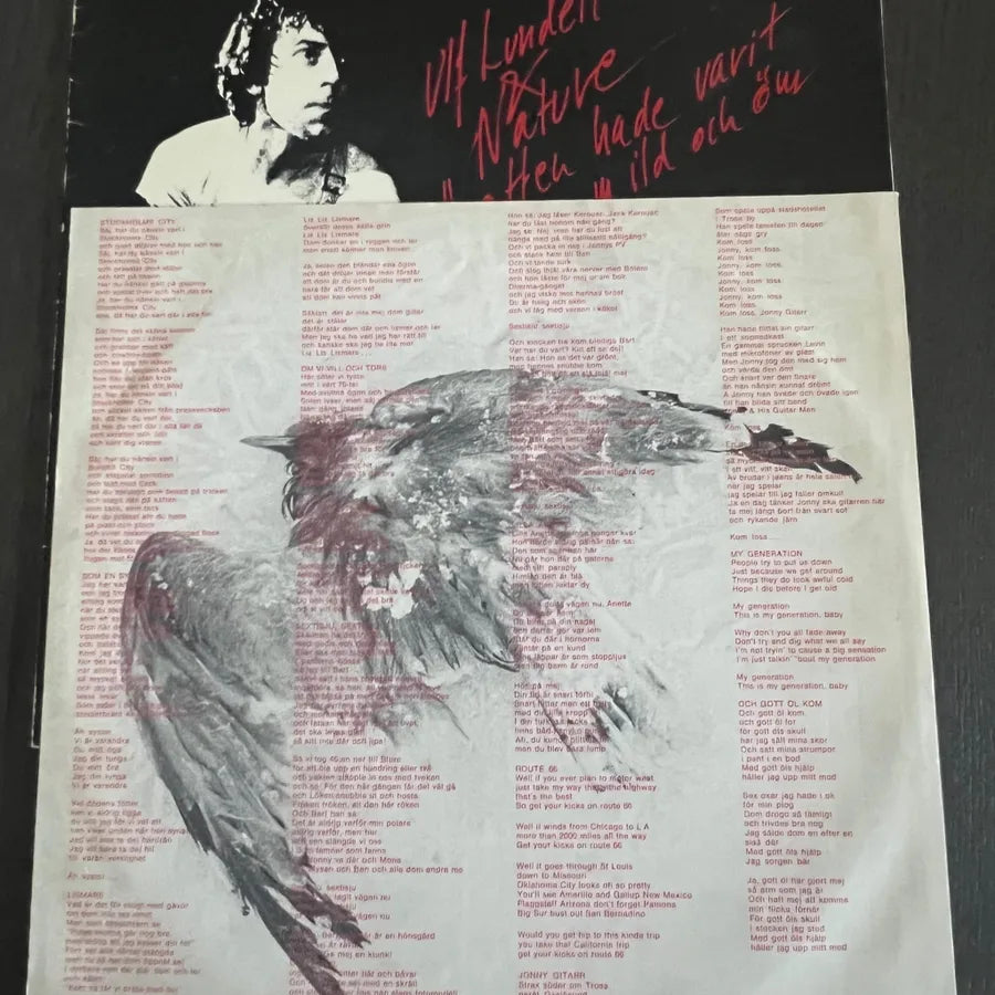 Ulf Lundell and Nature - The Night Had Been Mild and Tender /LP 1977