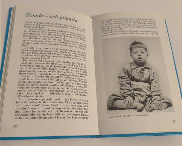 Kärleksgåvan (Ann‑Christin Larzon, Warne Förlag)
