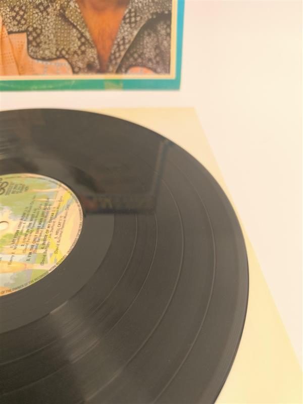 Bellamy Brothers – Let Your Love Flow (LP) – VG / G+ skick