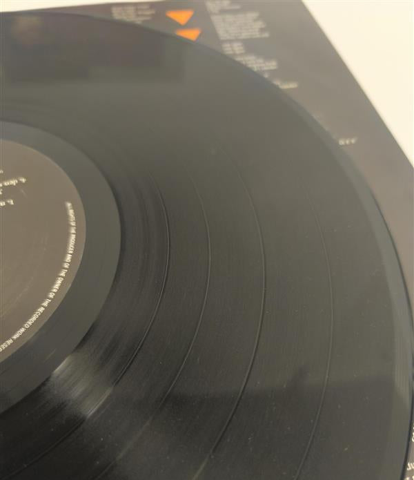 Anne‑Lie Rydé – Den sista flykten (LP)