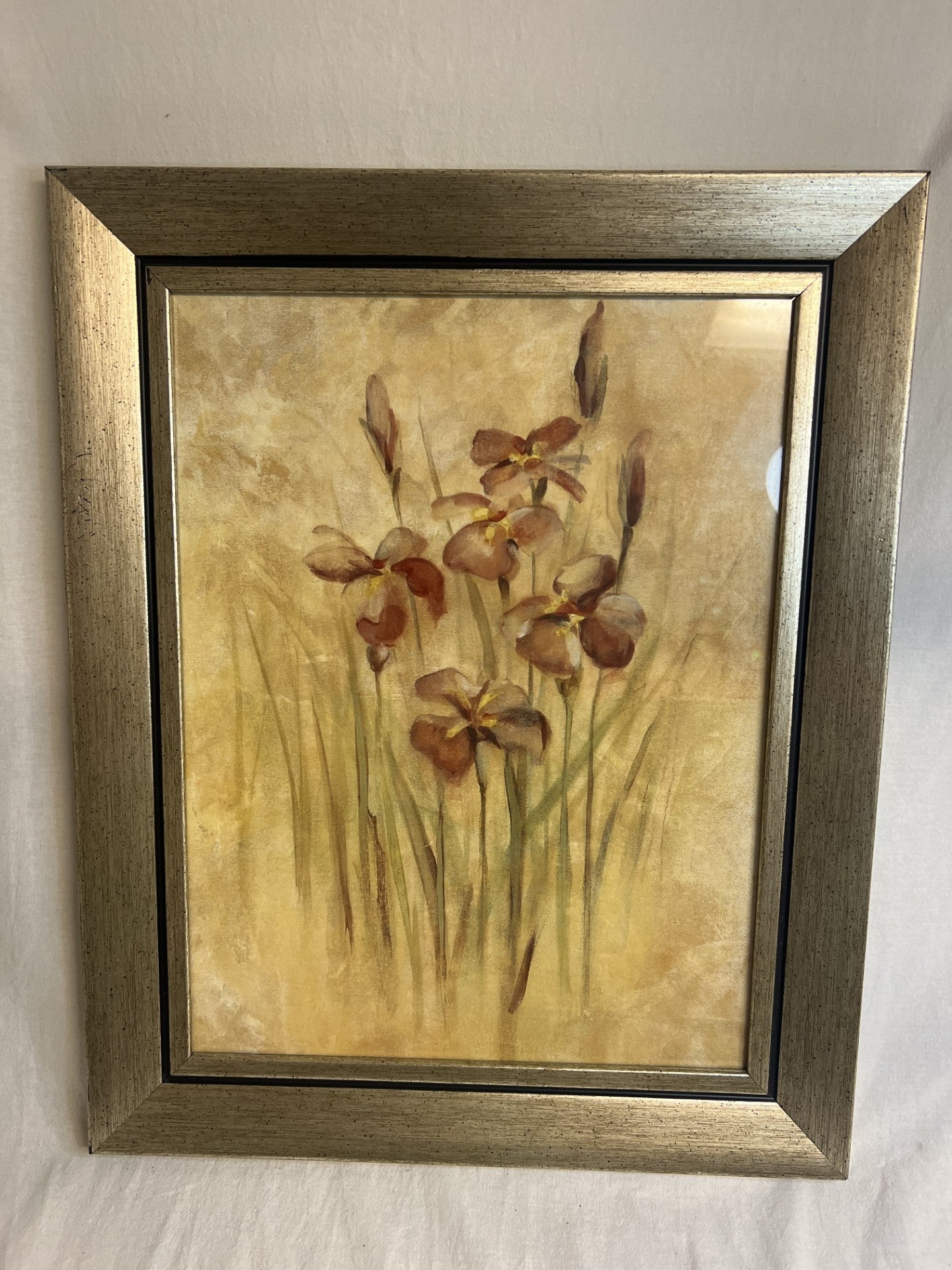 An iris print